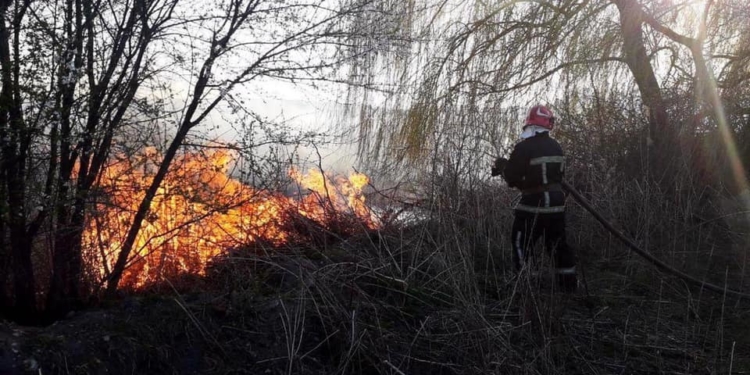 На території Тернопільського району – масштабна пожежа в межах державного заказника (Фото, відео)