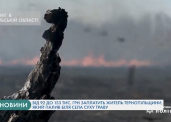 Від 92 до 153 тисяч гривень заплатить житель Тернопільщини за спалювання сухої трави