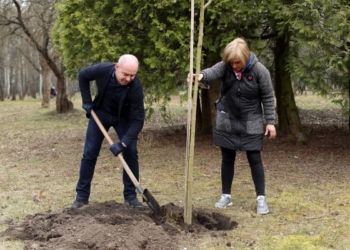 У двох парках Тернополя висадили клени