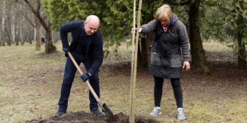 У двох парках Тернополя висадили клени