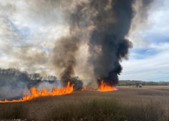 На Тернопільщині правоохоронці встановлюють обставини двох масштабних пожеж