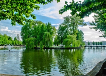 У Тернополі зелені насадження перевищують загальнодержавні нормативи