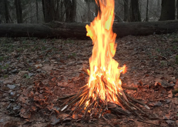 Штрафи збільшили: нагадування тернополянам про відповідальність за спалювання трави та сміття