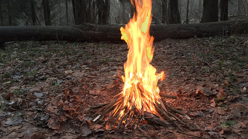 Штрафи збільшили: нагадування тернополянам про відповідальність за спалювання трави та сміття