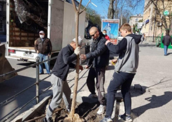На вулицях Тернополя з’явилися нові зелені насадження
