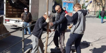 На вулицях Тернополя з’явилися нові зелені насадження