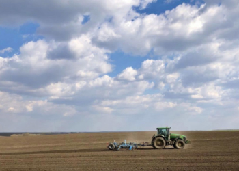 «Контінентал Фармерз Груп» підбиває підсумкивесняної посівної