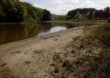 У селі на Тернопільщині пересихає водойма