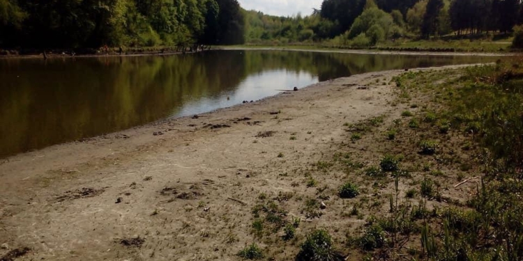 У селі на Тернопільщині пересихає водойма