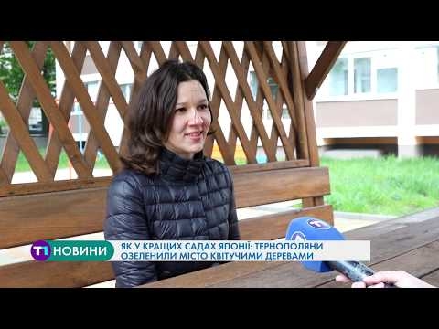 Як у кращих садах Японії: тернополяни озеленили місто квітучими деревами