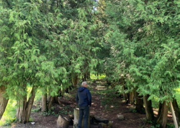 Народний депутат Чайківський ініціює відновлення туристичної перлини області