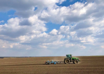 «Контінентал Фармерз Груп» підбиває підсумки весняної посівної
