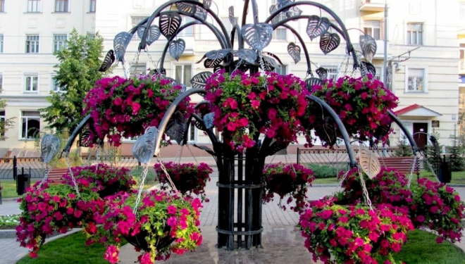 У Тернополі з’явилися нові клумби