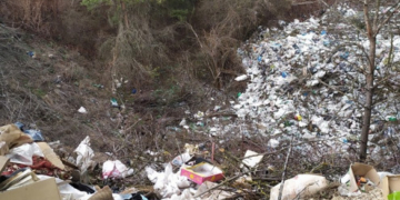 На Тернопільщині невідомі перетворили ліс у смітник