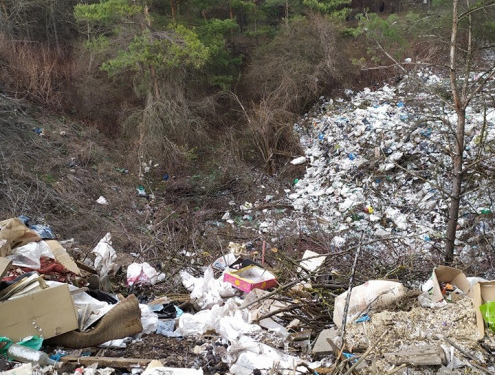 На Тернопільщині невідомі перетворили ліс у смітник