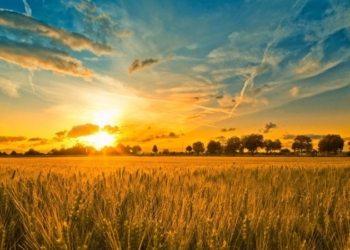 Тернополяни можуть показати найкращі місця краю: розпочалася акція #Мандруй Україною