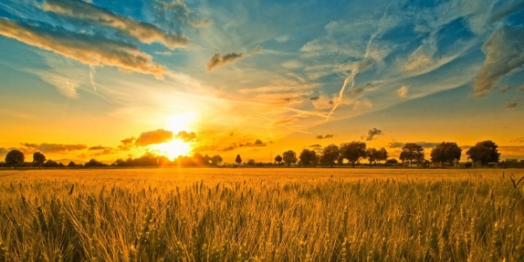 Тернополяни можуть показати найкращі місця краю: розпочалася акція #Мандруй Україною