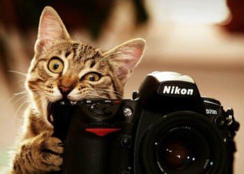 Краса Тернопілля: фотографи можуть показати красу краю у міжнародному конкурсі “Wiki Loves Earth”