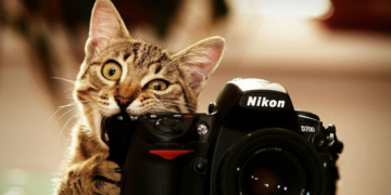 Краса Тернопілля: фотографи можуть показати красу краю у міжнародному конкурсі “Wiki Loves Earth”