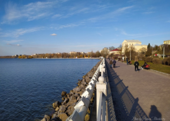 Тернопільський став: що є причиною загибелі риби?