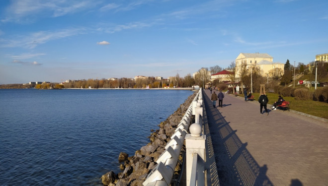 Тернопільський став: що є причиною загибелі риби?