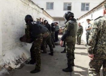 Вбив і гуляв на свободі: на Тернопільщині доправили в ізолятор обвинуваченого у важкому злочині