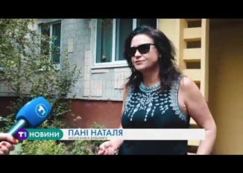 Зоозахисники з’ясовують, хто замурував котів у підвалі тернопільської багатоповерхівки