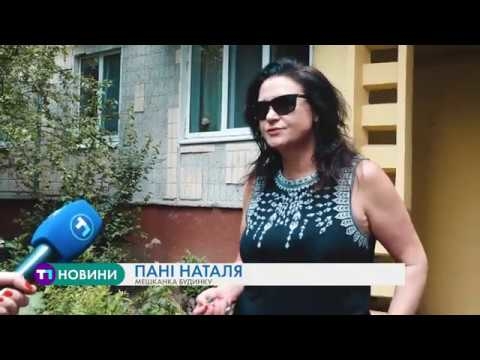 Зоозахисники з’ясовують, хто замурував котів у підвалі тернопільської багатоповерхівки