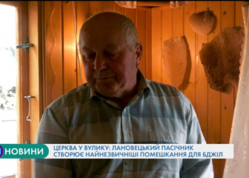 Церква у вулику: пасічник з Тернопільщини створює незвичні помешкання для бджіл