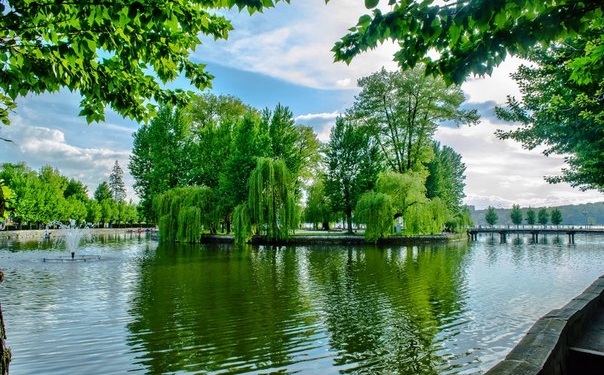 Зелені насадження Тернополя: процедура видалення дерев, кущів, газонів і квітників