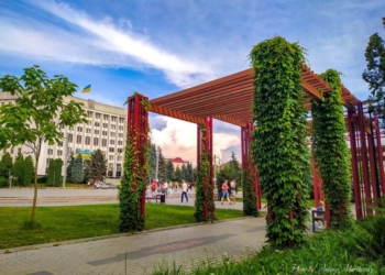 У Тернополі знайшли можливість продовжувати озеленювати місто