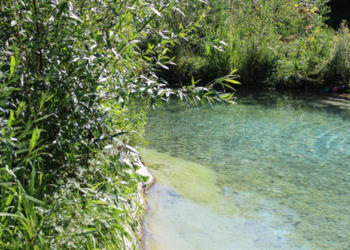 На околиці Тернополя є свій маленький Таїланд (Фото)