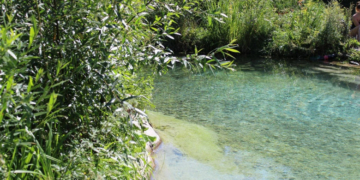 На околиці Тернополя є свій маленький Таїланд (Фото)