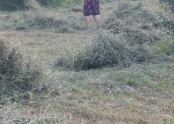 На Тернопільщині чоловік намагався застрелити жінку через сіно