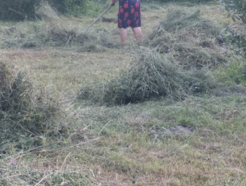 На Тернопільщині чоловік намагався застрелити жінку через сіно