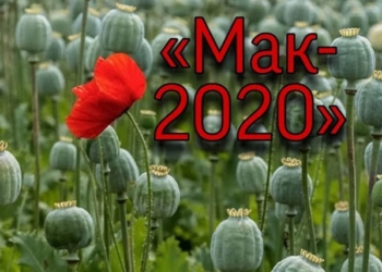 На Тернопільщині триває поліцейська спецоперація “МАК”