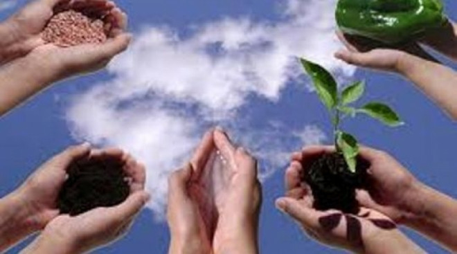 “Нове-це добре забуте старе”: на Тернопільщині почали відновлювати кооперативи