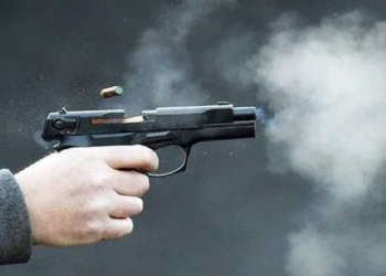 Зрізав гілки горіха та отримав кулю у стегно: на Тернопільщині постраждав працівник електромереж