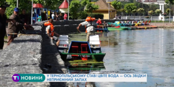 Цвіль і неприємний запах: що відбувається із ставом у Тернополі? (Відео)