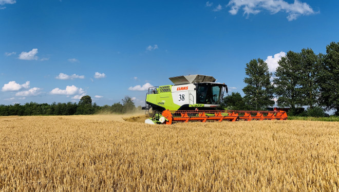 «Контінентал Фармерз Груп» розпочала збір ранніх зернових