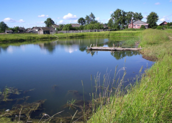 На Тернопільщині судитимуть чоловіка, який зняв із землі родючий шар грунту