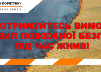 На Тернопільщині розпочалися жнива: що варто пам’ятати?
