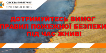 На Тернопільщині розпочалися жнива: що варто пам’ятати?