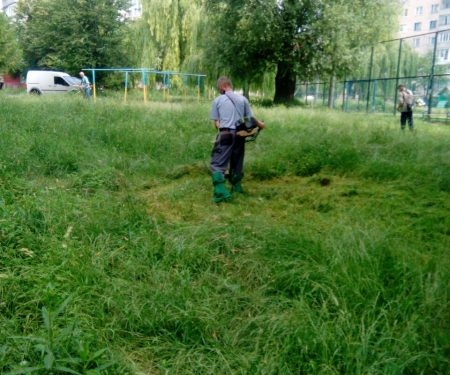 У Тернополі продовжують наводити лад на прибудинкових територіях