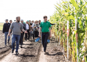 «Контінентал Фармерз Груп» провела День поля