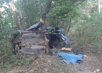 На Тернопільщині смертельна ДТП: автомобіль врізався в дерево