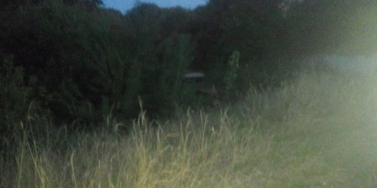 У Тернополі неподалік Микулинецького кладовища потяг переїхав чоловіка