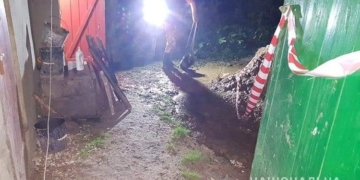 На Тернопільщині в дворовому туалеті знайшли мертву новонароджену дитину