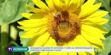 У селі на Тернопільщині умисно підпалили пасіку