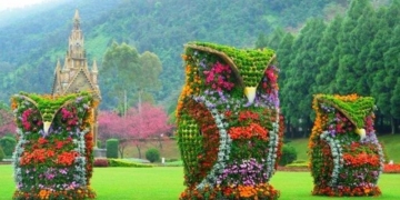 У Тернополі відбудеться конкурс “Квіткові композиції”